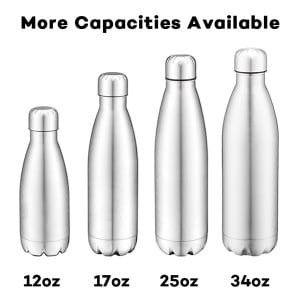 17oz  Stainless Steel Vacuumn Travel Bottle